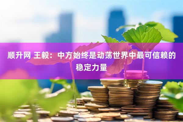 顺升网 王毅：中方始终是动荡世界中最可信赖的稳定力量