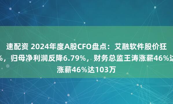 速配资 2024年度A股CFO盘点：艾融软件股价狂飙284%，归母净利润反降6.79%，财务总监王涛涨薪46%达103万