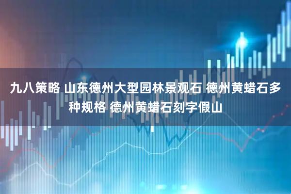 九八策略 山东德州大型园林景观石 德州黄蜡石多种规格 德州黄蜡石刻字假山