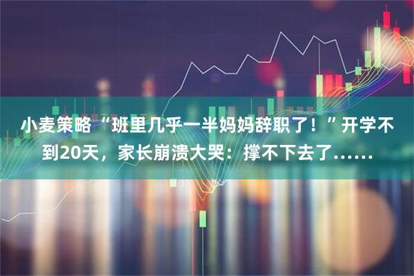 小麦策略 “班里几乎一半妈妈辞职了！”开学不到20天，家长崩溃大哭：撑不下去了……