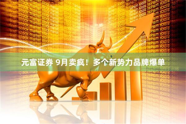 元富证券 9月卖疯！多个新势力品牌爆单