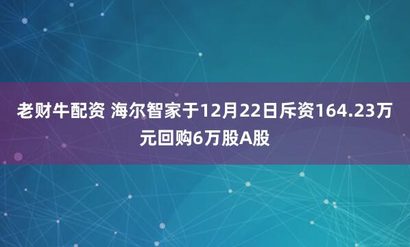 老财牛配资 海尔智家于12月22日斥资164.23万元回购6万股A股